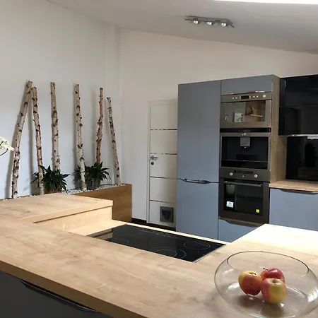 Exklusive Dachgeschosswohnung Mit Sauna Und Kamin Im Stilvollen Altbau Vordernberg